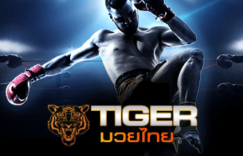 TIGER มวยไทย กีฬาออนไลน์